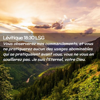 Picture 02 - Lévitique 18:30 LSG - Vous observerez mes commandements, et vous ne - Bible Verse Picture