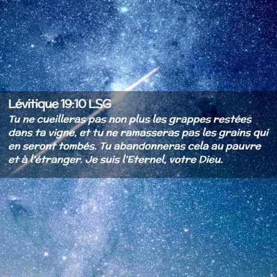 Picture 02 - Lévitique 19:10 LSG - Tu ne cueilleras pas non plus les grappes - Bible Verse Picture