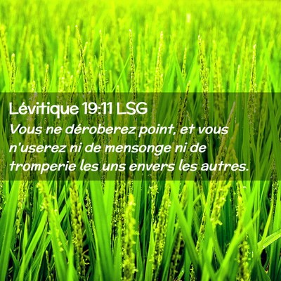 Picture 02 - Lévitique 19:11 LSG - Vous ne déroberez point, et vous n'userez ni de - Bible Verse Picture