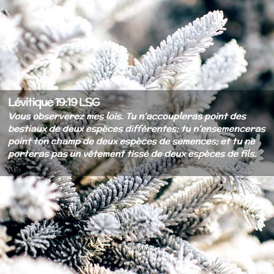 Picture 02 - Lévitique 19:19 LSG - Vous observerez mes lois. Tu n'accoupleras point - Bible Verse Picture