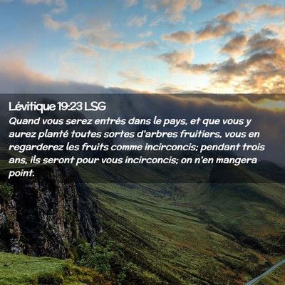 Picture 02 - Lévitique 19:23 LSG - Quand vous serez entrés dans le pays, et que - Bible Verse Picture
