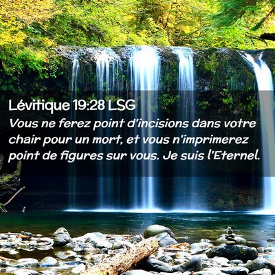 Picture 02 - Lévitique 19:28 LSG - Vous ne ferez point d'incisions dans votre chair - Bible Verse Picture