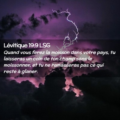Picture 02 - Lévitique 19:9 LSG - Quand vous ferez la moisson dans votre pays, tu - Bible Verse Picture