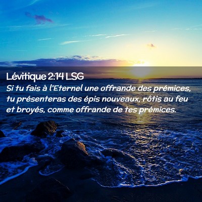 Picture 02 - Lévitique 2:14 LSG - Si tu fais à l'Eternel une offrande des - Bible Verse Picture