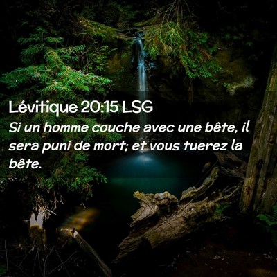 Picture 02 - Lévitique 20:15 LSG - Si un homme couche avec une bête, il sera puni - Bible Verse Picture