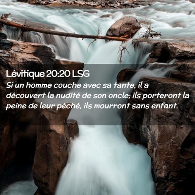 Picture 02 - Lévitique 20:20 LSG - Si un homme couche avec sa tante, il a découvert - Bible Verse Picture