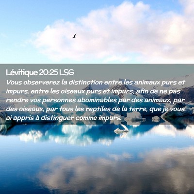 Picture 02 - Lévitique 20:25 LSG - Vous observerez la distinction entre les animaux - Bible Verse Picture