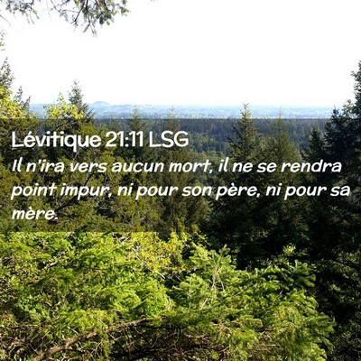 Picture 02 - Lévitique 21:11 LSG - Il n'ira vers aucun mort, il ne se rendra point - Bible Verse Picture