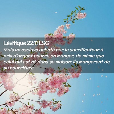 Picture 02 - Lévitique 22:11 LSG - Mais un esclave acheté par le sacrificateur à - Bible Verse Picture