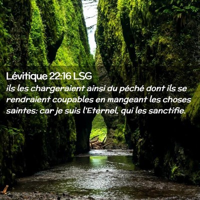 Picture 02 - Lévitique 22:16 LSG - ils les chargeraient ainsi du péché dont ils se - Bible Verse Picture