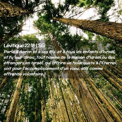 Picture 02 - Lévitique 22:18 LSG - Parle à Aaron et à ses fils, et à tous les - Bible Verse Picture