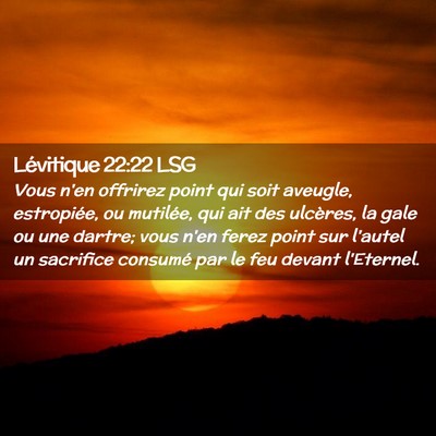 Picture 02 - Lévitique 22:22 LSG - Vous n'en offrirez point qui soit aveugle, - Bible Verse Picture