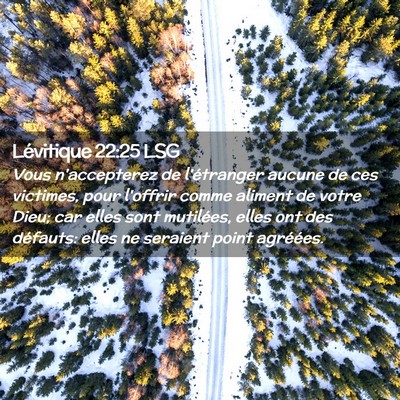 Picture 02 - Lévitique 22:25 LSG - Vous n'accepterez de l'étranger aucune de ces - Bible Verse Picture