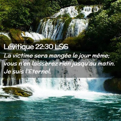 Picture 02 - Lévitique 22:30 LSG - La victime sera mangée le jour même; vous n'en - Bible Verse Picture