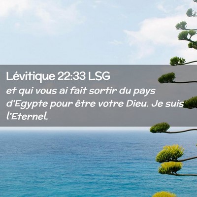 Picture 02 - Lévitique 22:33 LSG - et qui vous ai fait sortir du pays d'Egypte pour - Bible Verse Picture