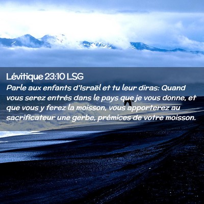 Picture 02 - Lévitique 23:10 LSG - Parle aux enfants d'Israël et tu leur diras: - Bible Verse Picture