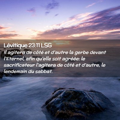 Picture 02 - Lévitique 23:11 LSG - Il agitera de côté et d'autre la gerbe devant - Bible Verse Picture