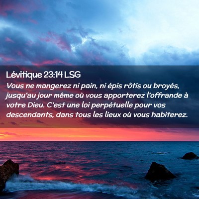 Picture 02 - Lévitique 23:14 LSG - Vous ne mangerez ni pain, ni épis rôtis ou - Bible Verse Picture