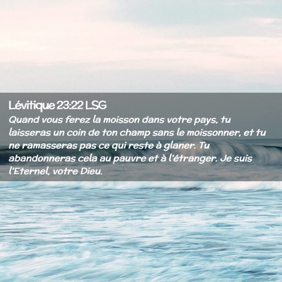 Picture 02 - Lévitique 23:22 LSG - Quand vous ferez la moisson dans votre pays, tu - Bible Verse Picture