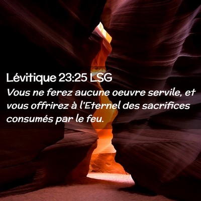 Picture 02 - Lévitique 23:25 LSG - Vous ne ferez aucune oeuvre servile, et vous - Bible Verse Picture