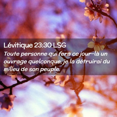Picture 02 - Lévitique 23:30 LSG - Toute personne qui fera ce jour-là un ouvrage - Bible Verse Picture