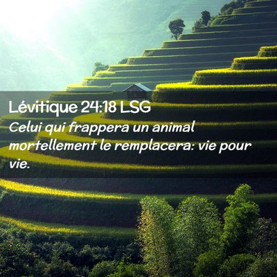 Picture 02 - Lévitique 24:18 LSG - Celui qui frappera un animal mortellement le - Bible Verse Picture
