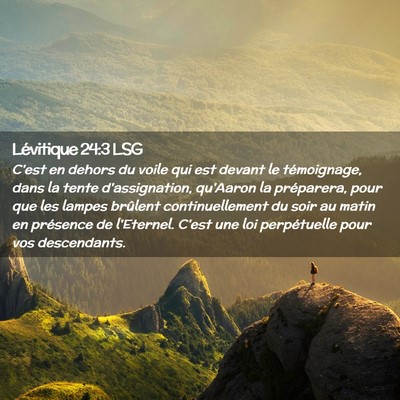 Picture 02 - Lévitique 24:3 LSG - C'est en dehors du voile qui est devant le - Bible Verse Picture