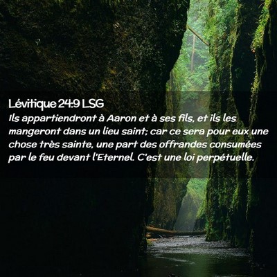 Picture 02 - Lévitique 24:9 LSG - Ils appartiendront à Aaron et à ses fils, et - Bible Verse Picture