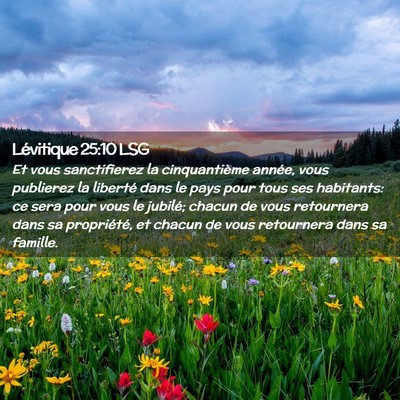 Picture 02 - Lévitique 25:10 LSG - Et vous sanctifierez la cinquantième année, - Bible Verse Picture