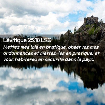 Picture 02 - Lévitique 25:18 LSG - Mettez mes lois en pratique, observez mes - Bible Verse Picture
