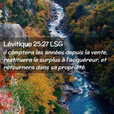 Picture 02 - Lévitique 25:27 LSG - il comptera les années depuis la vente, - Bible Verse Picture