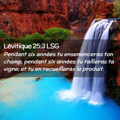 Picture 02 - Lévitique 25:3 LSG - Pendant six années tu ensemenceras ton champ, - Bible Verse Picture