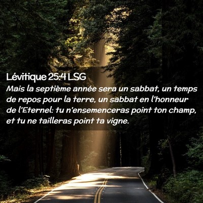 Picture 02 - Lévitique 25:4 LSG - Mais la septième année sera un sabbat, un temps - Bible Verse Picture