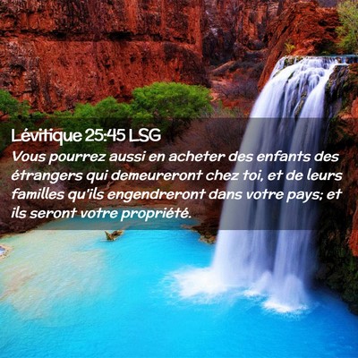 Picture 02 - Lévitique 25:45 LSG - Vous pourrez aussi en acheter des enfants des - Bible Verse Picture
