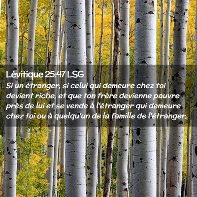 Picture 02 - Lévitique 25:47 LSG - Si un étranger, si celui qui demeure chez toi - Bible Verse Picture