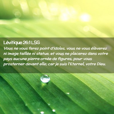 Picture 02 - Lévitique 26:1 LSG - Vous ne vous ferez point d'idoles, vous ne vous - Bible Verse Picture