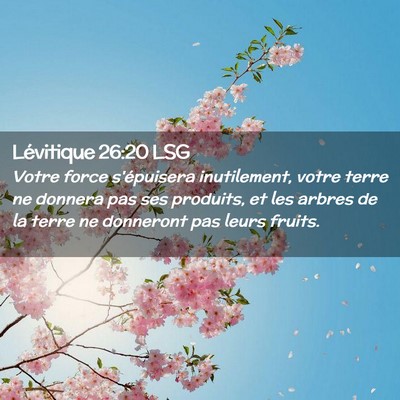 Picture 02 - Lévitique 26:20 LSG - Votre force s'épuisera inutilement, votre terre - Bible Verse Picture