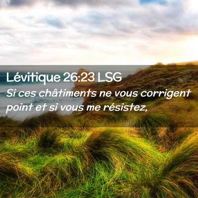 Picture 02 - Lévitique 26:23 LSG - Si ces châtiments ne vous corrigent point et si - Bible Verse Picture