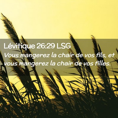 Picture 02 - Lévitique 26:29 LSG - Vous mangerez la chair de vos fils, et vous - Bible Verse Picture