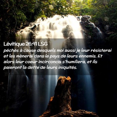 Picture 02 - Lévitique 26:41 LSG - péchés à cause desquels moi aussi je leur - Bible Verse Picture