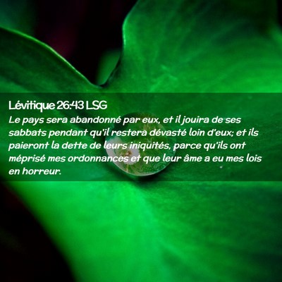 Picture 02 - Lévitique 26:43 LSG - Le pays sera abandonné par eux, et il jouira de - Bible Verse Picture