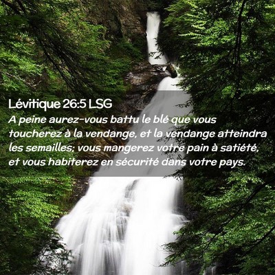 Picture 02 - Lévitique 26:5 LSG - A peine aurez-vous battu le blé que vous - Bible Verse Picture