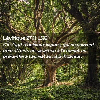 Picture 02 - Lévitique 27:11 LSG - S'il s'agit d'animaux impurs, qui ne peuvent - Bible Verse Picture