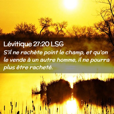 Picture 02 - Lévitique 27:20 LSG - S'il ne rachète point le champ, et qu'on le - Bible Verse Picture