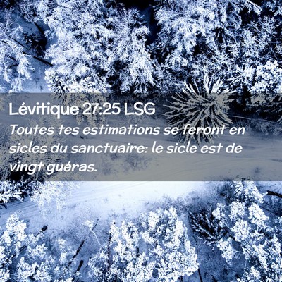 Picture 02 - Lévitique 27:25 LSG - Toutes tes estimations se feront en sicles du - Bible Verse Picture