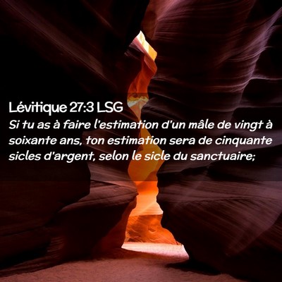 Picture 02 - Lévitique 27:3 LSG - Si tu as à faire l'estimation d'un mâle de - Bible Verse Picture