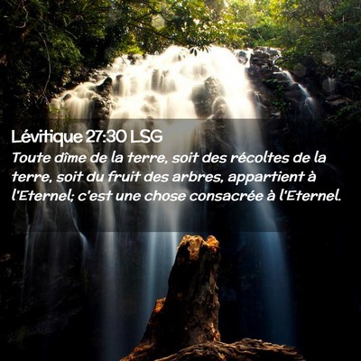 Picture 02 - Lévitique 27:30 LSG - Toute dîme de la terre, soit des récoltes de la - Bible Verse Picture
