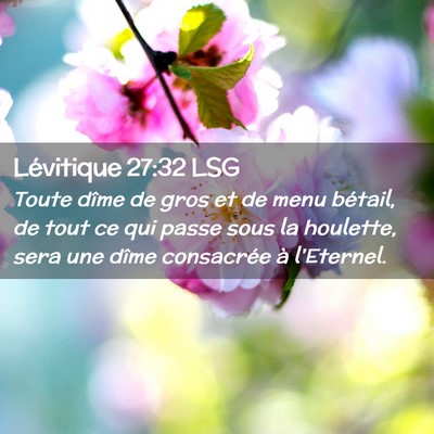 Picture 02 - Lévitique 27:32 LSG - Toute dîme de gros et de menu bétail, de tout - Bible Verse Picture