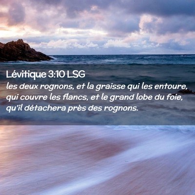Picture 02 - Lévitique 3:10 LSG - les deux rognons, et la graisse qui les entoure, - Bible Verse Picture