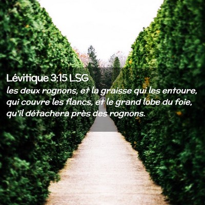 Picture 02 - Lévitique 3:15 LSG - les deux rognons, et la graisse qui les entoure, - Bible Verse Picture